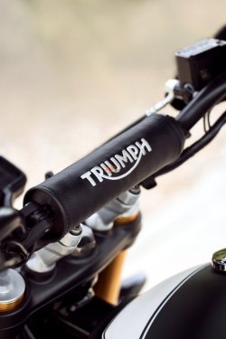 Triumph-Scrambler-400-X tại Việt Nam (11).jpg