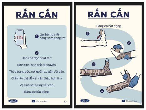 Cách sơ cứu khi đột quỵ, đuối nước, điện giật, rắn cắn,...  XEtv (8).jpg