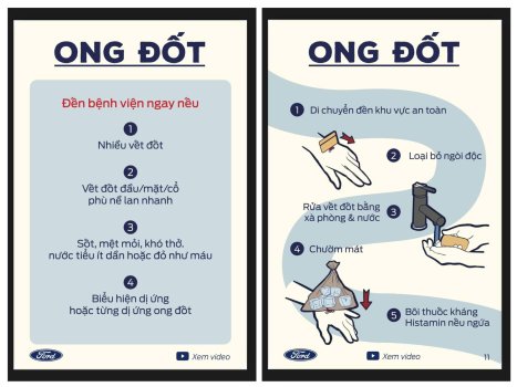 Cách sơ cứu khi đột quỵ, đuối nước, điện giật, rắn cắn,...  XEtv (11).jpg