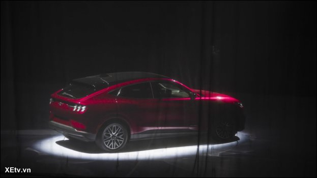 Mustang Mach-E tại Việt Nam (10).JPG