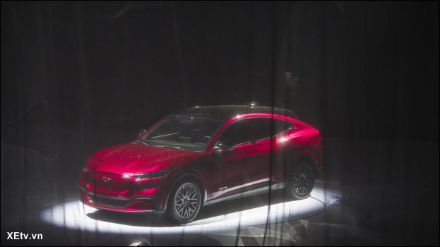 Mustang Mach-E tại Việt Nam (11).JPG