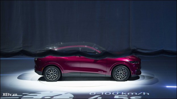 Mustang Mach-E tại Việt Nam (13).JPG