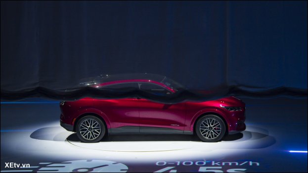 Mustang Mach-E tại Việt Nam (14).JPG