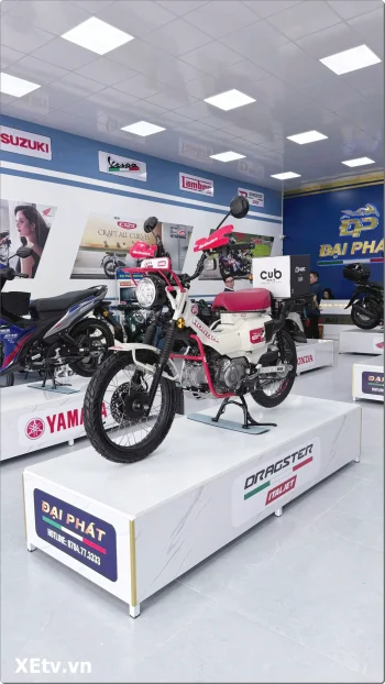 Xe máy nhập khẩu Đồng Tháp - Đại Phát Motor hội tụ xe Ý, Nhật Bản, Thái Lan, Malaysia (43).webp