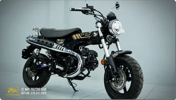 HONDA DAX ROYAL LIMITED EDITION – BIỂU TƯỢNG MINI BIKE ĐẲNG CẤP ĐÃ CÓ MẶT TẠI CÀ MAU (18).webp