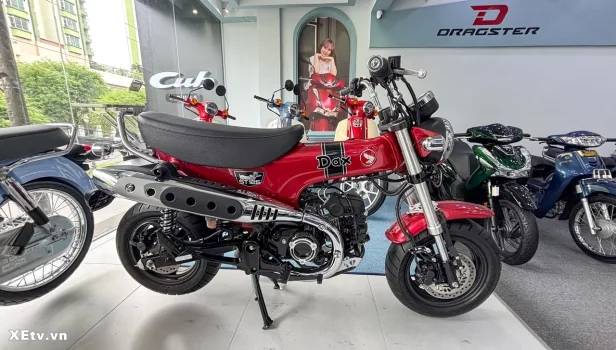 Cub House Sài Gòn – Điểm đến của người yêu xe máy Honda nhập khẩu (39).webp